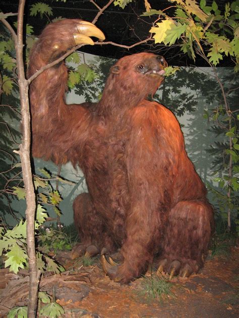 Giant Ground Sloth Ground Sloth Prehistoric Animals Megafauna