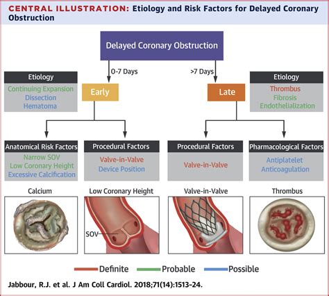 Delayed Coronary Obstruction After Transcatheter Aortic Valve