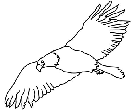 Eagle Landing Drawing Free Download On Clipartmag