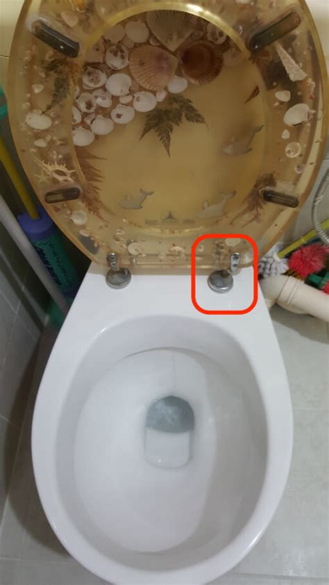 How do you repair a soft close toilet seat? Toilet Repair Singapore | Fixing All Types Of Toilet Problem