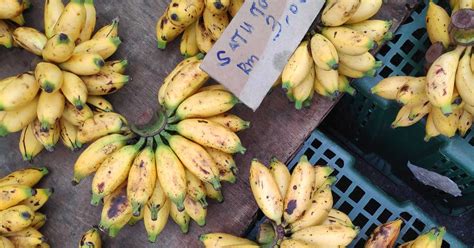 14 Unique Types Of Bananas