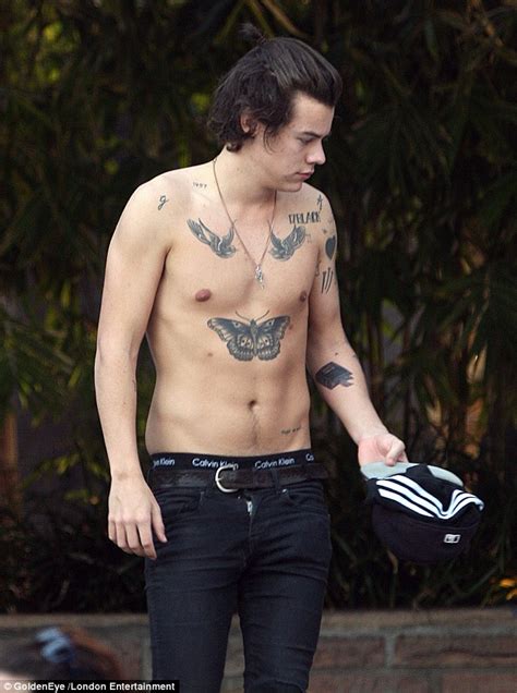 Harry Styles Shirtless And Tempting Poses Pix Naked Male Celebrities