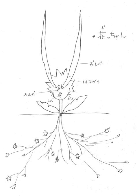 Horikoshi Sketch For Bakugou Flower Rbokunoheroacademia
