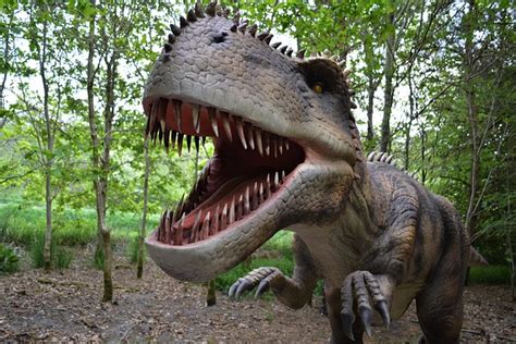 Dinosaur Dino Vleesetende Gratis Foto Op Pixabay