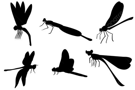 Dragonfly Silhouette Silhouette Animal Dragonfly Png Transparent