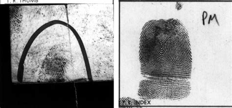 Example Of A Partial Fingerprint And Its Matching Full Fingerprint Download Scientific Diagram