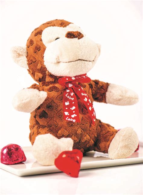 Check out these 20 valentine's gift ideas to ease your stress over the holiday and make those you love feel amazing! Valentine's Day Gift Ideas For Animal Lovers - Escalon Times