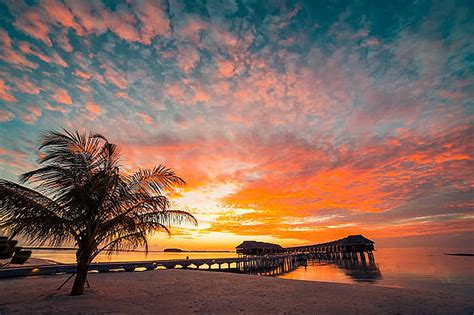 Free Download Sunset At Maldives Beach Sky Clouds Evening Palm