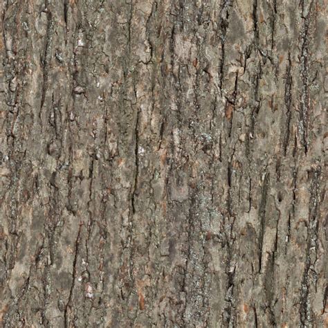 High Resolution Textures Wood Tree Bark Seamless Texture