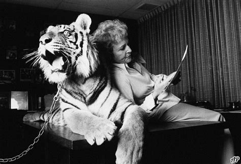Betty White And A Tiger Betty White Animal Lover Animals