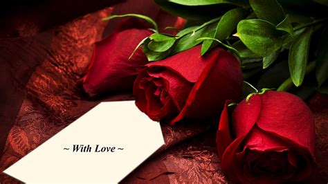 50 Beautiful Red Rose Images To Download