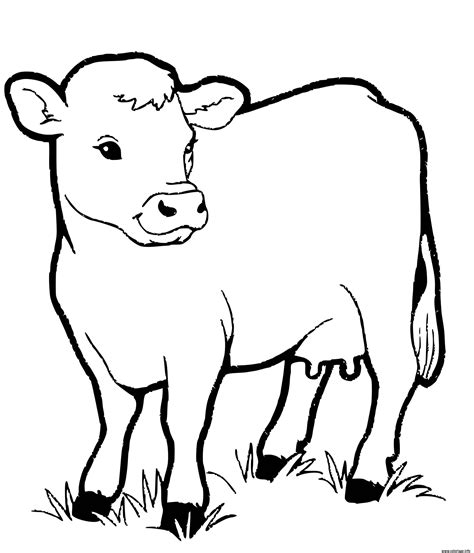 Coloriage Veau Bebe Vache Dessin Vache à Imprimer