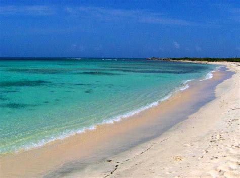 Baby Beach Playa En Aruba