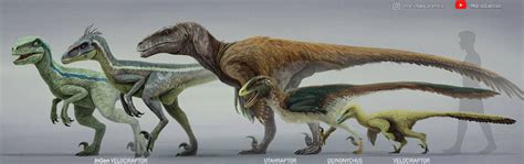 Velociraptor Jurassic Park And Other Relatives By Mariolanzas On Deviantart