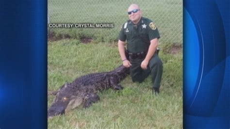 Polk County Deputy Helps Catch 9 Foot Alligator Wftv
