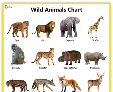 Sikkim Animals Chart With Name
