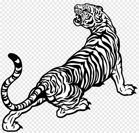 White Tiger Drawing Black And White Tiger White Mammal Animals Png