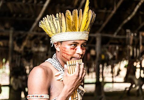 240 Xingu Fotos Fotografías De Stock Fotos E Imágenes Libres De