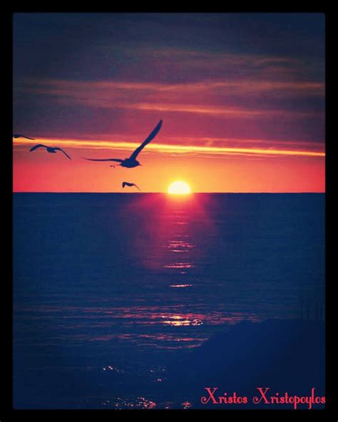 A Magical Sunset 🌇 On The Beach 🌊 With Flying Birds 🐦 🐦 🐦 🐦 👌☺💖 Beach Wallpaper Beach Picture