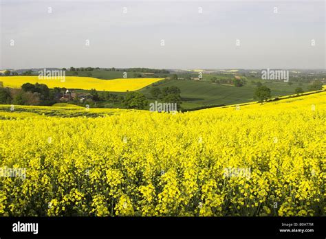 English Countryside In Spring Stock Photo Alamy