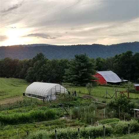 Turnrow Appalachian Farm Collective