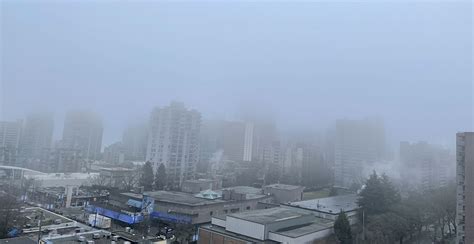 Vancouvers Fog Is So Thick Right Now You Cant See City Buildings
