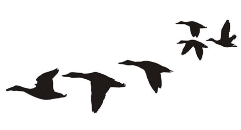 Ducks Flying Silhouette V8 Decal Sticker
