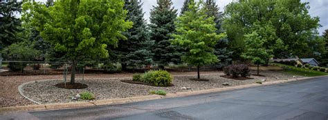 Xeriscaping Colorado Springs Timberline Landscaping