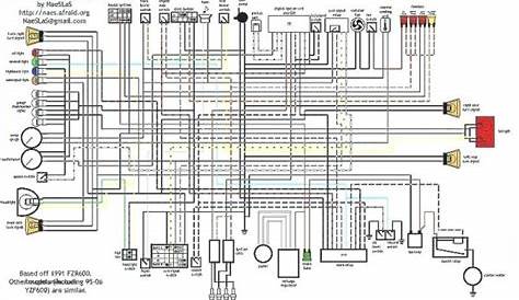 Yamaha Fzr 600 Wiring Diagram