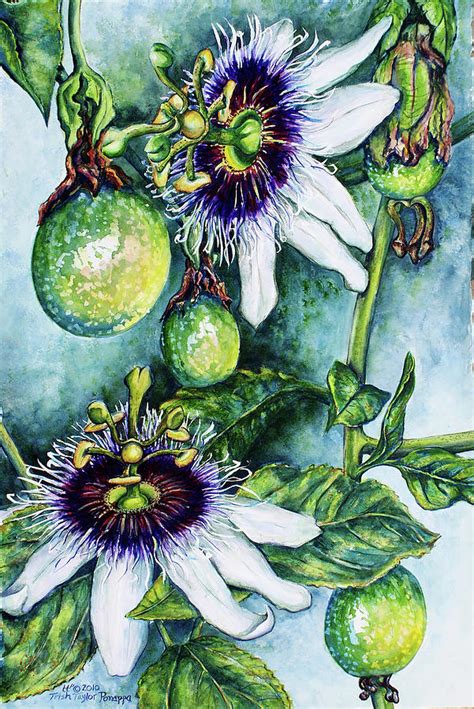 Passion Flowers W Fruit Painting By Trish Taylor Ponappa Fine Art America