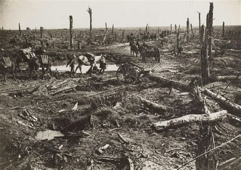 No Mans Land Western Front 1916 With Images No Mans Land War