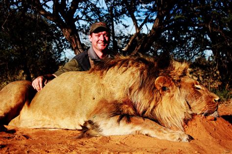 African Lion Hunting Safari Packages South Africa With Mkulu Safaris
