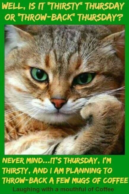 Its Throw Back Thursday Enjoy Your Coffee ☕ Coffee Quotes Cats