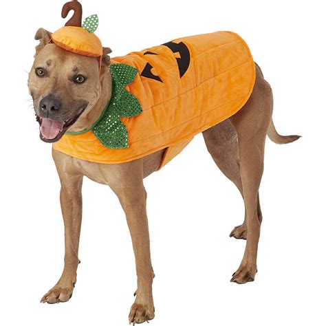 9 Wickedly Cute Large Dog Halloween Costumes