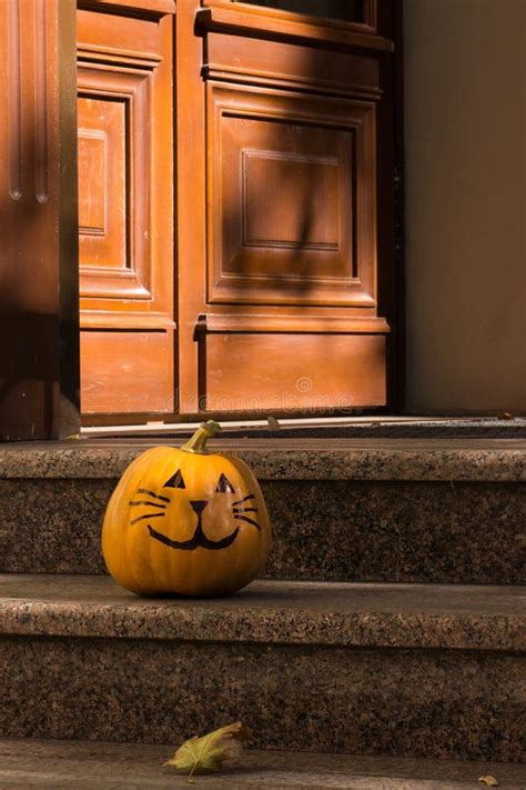 Cute Funny Halloween Pumpkin Cat Stock Photo Image Of Nightmare Cute