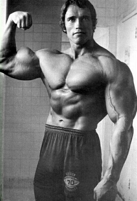 Pin By Badcop On Encantes Arnold Schwarzenegger Muscle Arnold