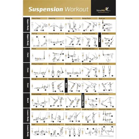 Suspension Exercise Poster Laminated Strength Training Chart Build