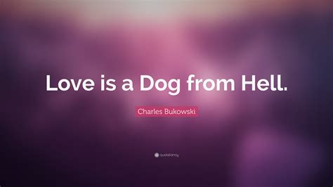 Charles Bukowski Quote Love Is A Dog From Hell