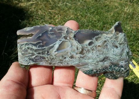 Carey Moss Agate Idaho Native Moss Great Green Filaments 1856094834