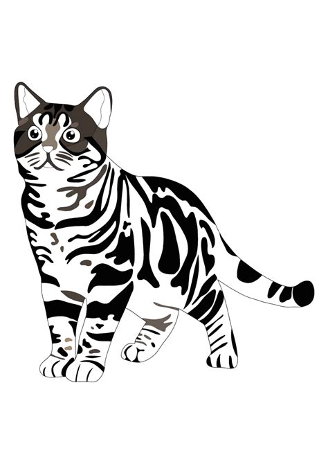 Realistic Cat Coloring Pages 2 Free Coloring Sheets 2020 Cat