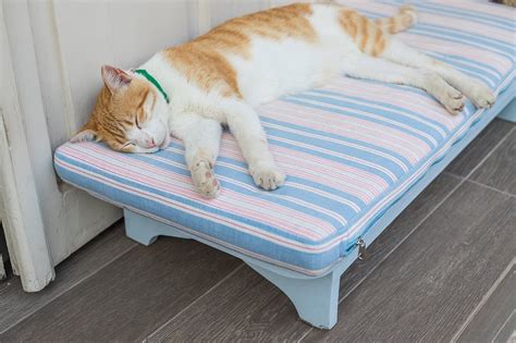 8 Best Outdoor Cat Beds In 2022 Reviews And Top Picks Hepper