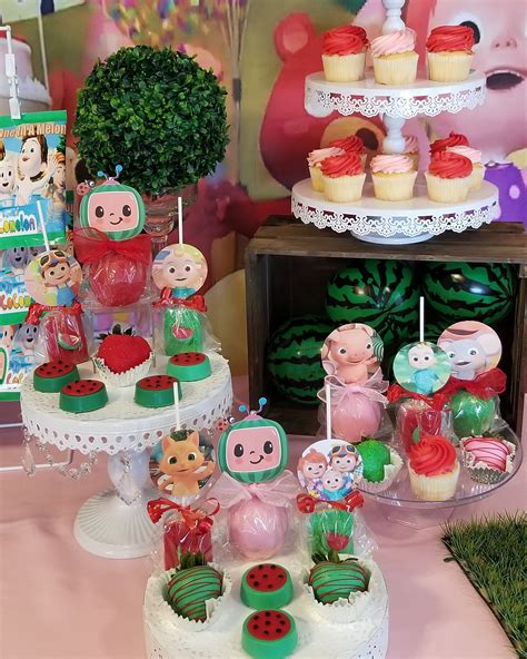 Cocomelon Dessert Table Decorations Fiesta Birthday Party 2nd