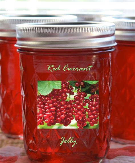 Red Currant Jelly | Cooking Mamas