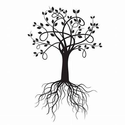 Tree Vector Roots Illustration Rots Depositphotos