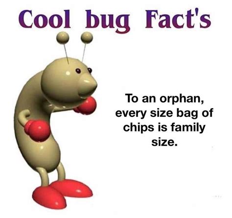 Pin By Zzzzz On Memes In 2020 Cool Bugs Funny Facts