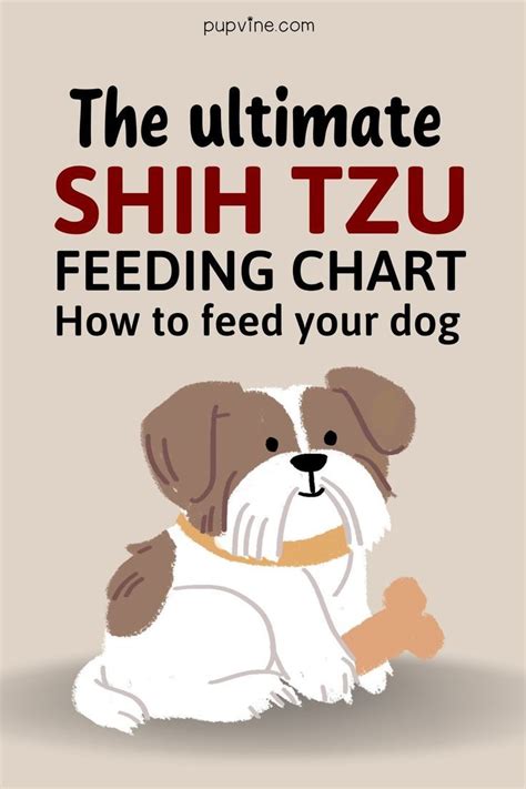 The Ultimate Shih Tzu Feeding Chart — How To Feed Your Dog In 2022