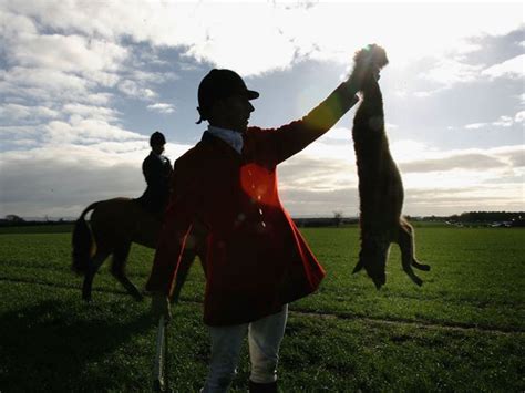 Stop Pretending Legalising Fox Hunting Is About Farming Says Queens