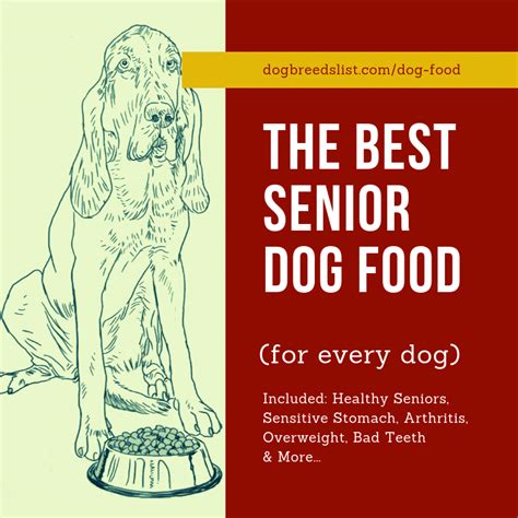 Are you looking for the best senior dog food? Best Senior Dog Food: 2019 All-Inclusive Guide | Dog ...