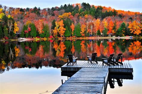 Ontario In Fall Top Fall Activities And Change Of Colours Emmas Roadmap