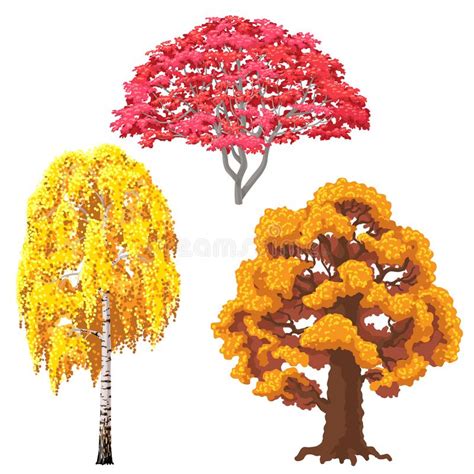 Autumn Trees Set Stock Vector Illustration Of Birch 100808787